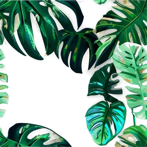 Tropical Leaf Background Png Ocu PNG Image