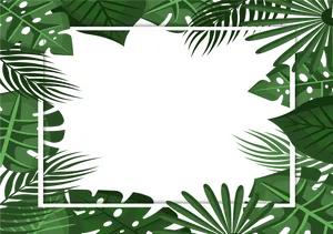 Tropical_ Leaf_ Border_ Frame PNG Image