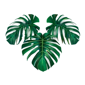 Tropical Leaf Border Png Gsr85 PNG Image