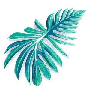 Tropical Leaf Outline Png Xhl47 PNG Image