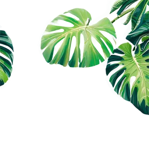 Tropical Leaf Pattern Png 15 PNG Image