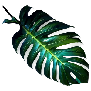 Tropical Leaf Silhouette Png Jwp97 PNG Image