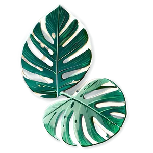 Tropical Leaf Sketch Png Oln PNG Image