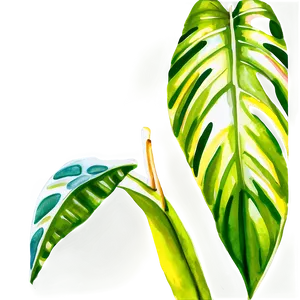 Tropical Leaf Watercolor Png Ime80 PNG Image