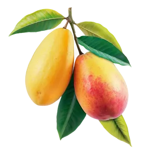 Tropical Mango Png Pdn PNG Image