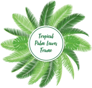 Tropical Palm Leaves Frame Graphic PNG Image