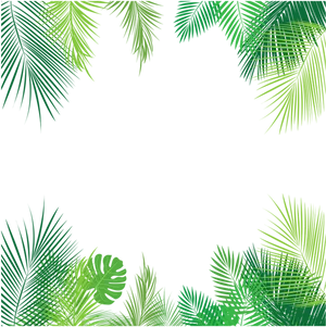 Tropical Palm Leaves Frame PNG Image