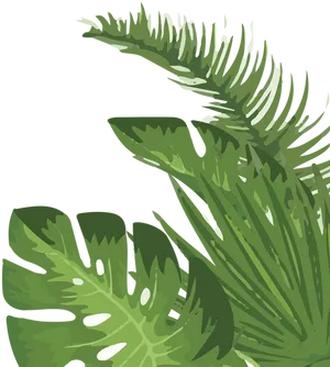 Tropical Palm Leaves Illustration PNG Image