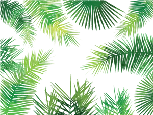 Tropical Palm Leaves Pattern PNG Image