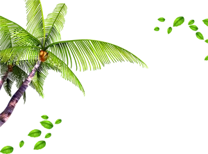 Tropical Palm Leaves Transparent Background PNG Image