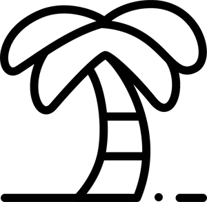 Tropical Palm Tree Icon PNG