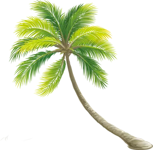 Tropical Palm Tree Illustration PNG Image