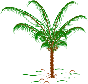 Tropical Palm Tree Illustration PNG Image