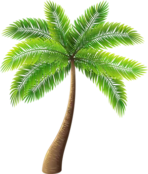 Tropical Palm Tree Illustration PNG Image