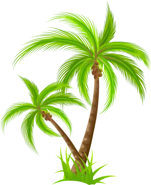 Tropical Palm Trees Illustration PNG Image