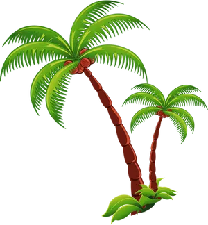 Tropical Palm Trees Illustration PNG Image