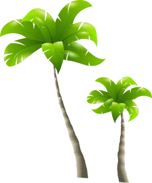 Tropical Palm Trees Illustration PNG Image