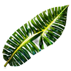 Tropical Plant B PNG Image