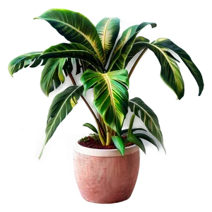 Tropical Plant D PNG Image