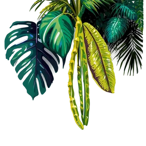 Tropical Rainforest Clipart Png Vft PNG Image