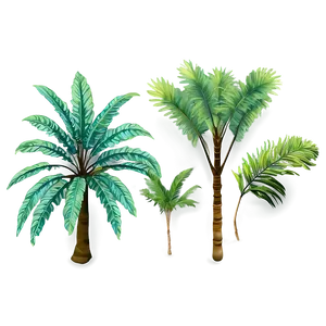 Tropical Rainforest Trees Png Xkq84 PNG Image