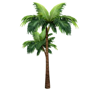 Tropical Tree Elevation Png Mhc42 PNG Image