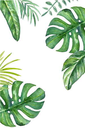 Tropical Watercolor Leaves Pattern PNG Image