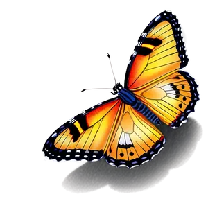 True To Life Butterfly Png 06262024 PNG Image