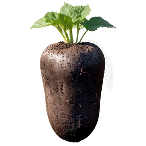 Tuber Gardening Tips Png 05252024 PNG Image