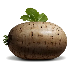 Tuber Icon Png 05252024 PNG Image