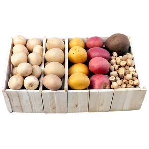 Tuber Market Display Png Dxg PNG Image