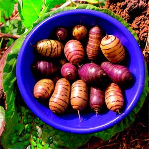 Tuber Pests And Diseases Png 05252024 PNG Image