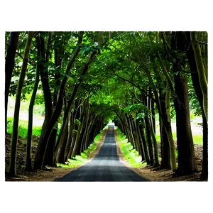 Tunnel Of Trees Png Bua47 PNG Image