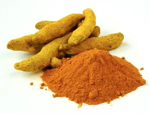 Turmeric Rootsand Powder PNG Image