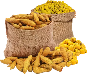 Turmeric Rootsand Powderin Burlap Bags PNG Image