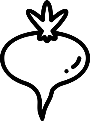 Turnip Line Art Outline PNG Image