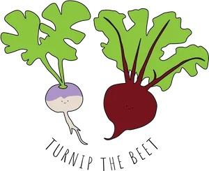 Turnipand Beet Cartoon Illustration PNG Image