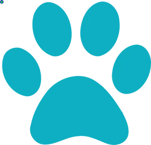 Turquoise Paw Print Graphic PNG Image