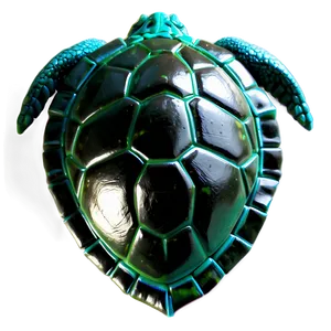 Turtle Shell Aesthetic Png 81 PNG Image