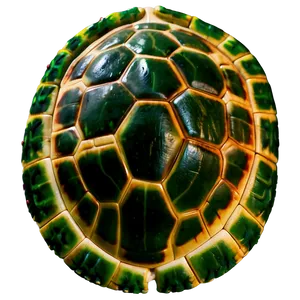 Turtle Shell Aesthetic Png Vly PNG Image