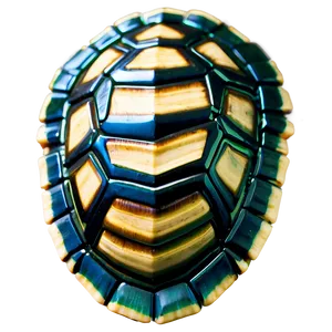 Turtle Shell C PNG Image