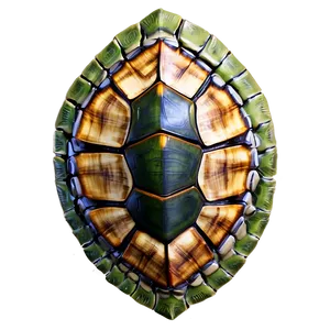 Turtle Shell Decoration Png Kjq PNG Image