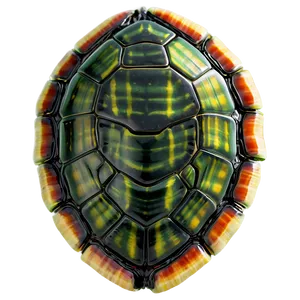 Turtle Shell Detail Png Aan PNG Image