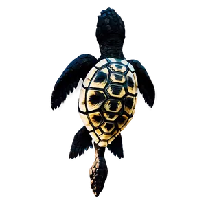 Turtle Silhouette Profile Png Sfg PNG Image