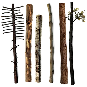 Twigs And Sticks Png Ojo PNG Image