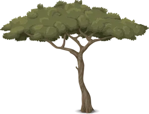 Twisted Tree Trunk Illustration PNG Image