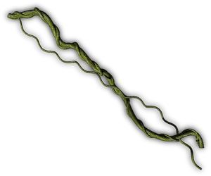 Twisting Green Vine Black Background PNG Image