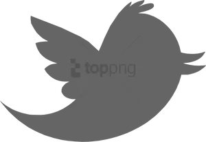 Twitter Logo Black Silhouette PNG Image