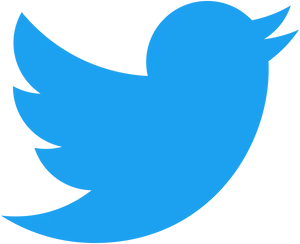 Twitter Logo Blue Bird PNG Image