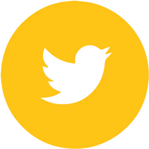 Twitter Logo Icon PNG Image